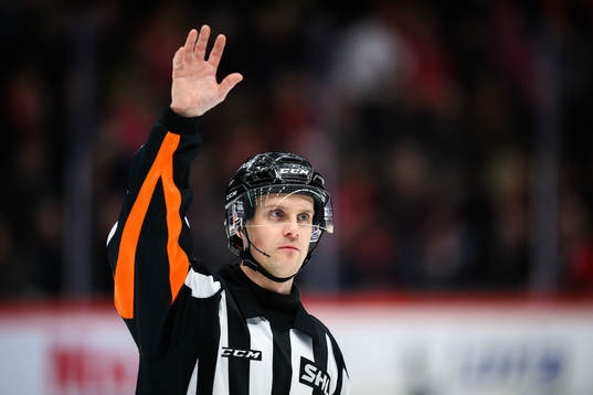 Domare Stefan Johansson