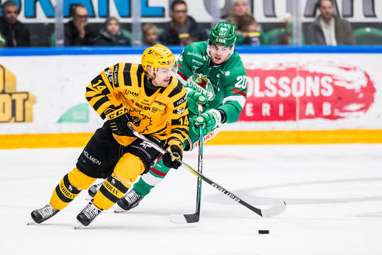 Skellefteås Andreas Johnson och Rögles Valtteri Viljanen