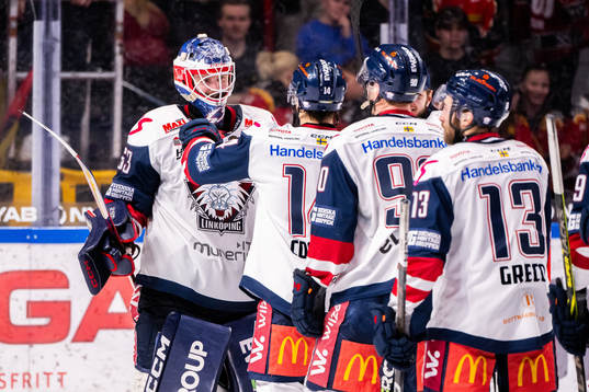 Linköpings målvakt Marcus Högberg jublar med lagkamrater