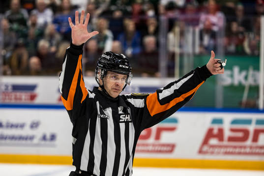 Domare Mikael Andersson