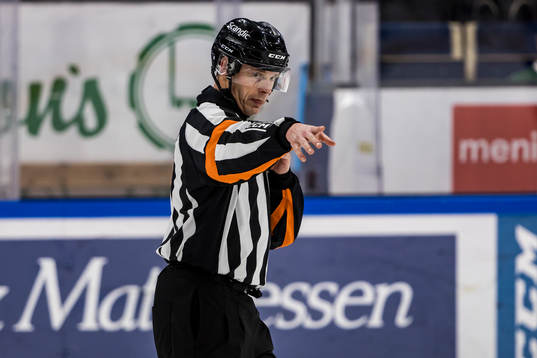 Domare Mikael Andersson