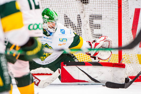 Björklövens målvakt Niklas Svedberg