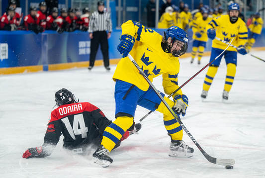 A handout photo made available by the Olympic Information