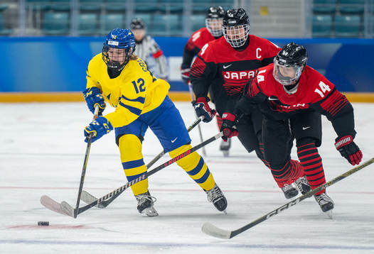 A handout photo made available by the Olympic Information