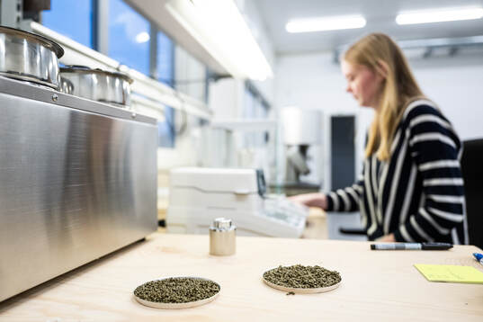 Infillmaterial till konstgärsplaner med Pernilla Larsson, kemiingenjör Improve Tec Hönö, i bakgrunden den 29 januari 2024 i Hönö. 