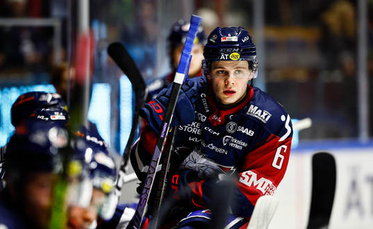 Linköpings Mattias Hävelid