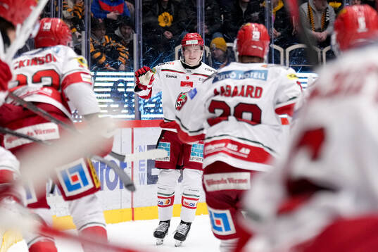 MoDos Theodor Niederbach jublar