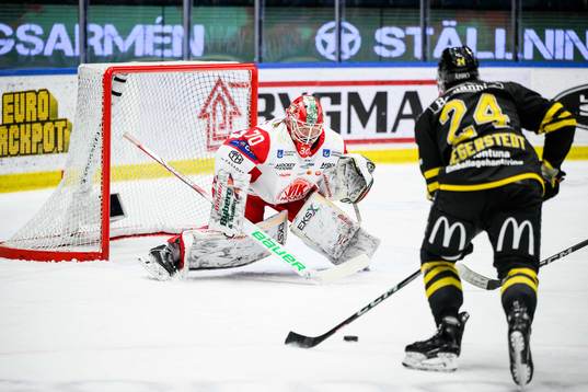 Västerviks målvakt Pontus Eltonius