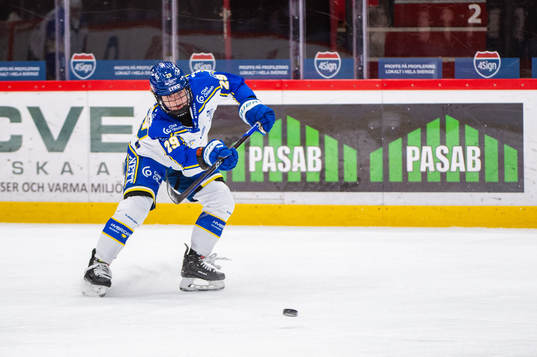 Leksands Courtney Vorster