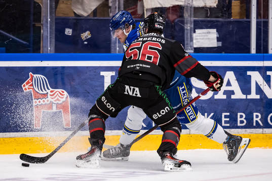Leksands Carter Ashton