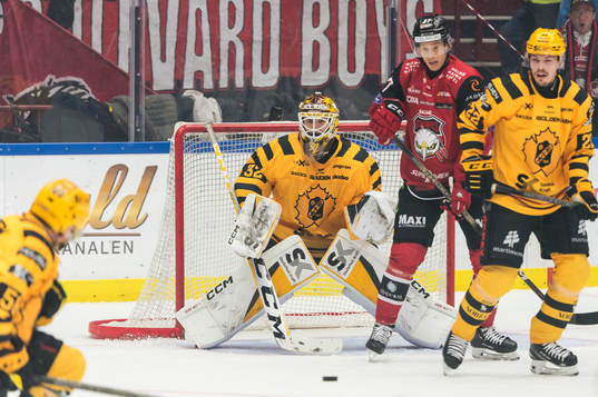 Malmö Redhawks Robin Alvarez och Skellefteås målvakt