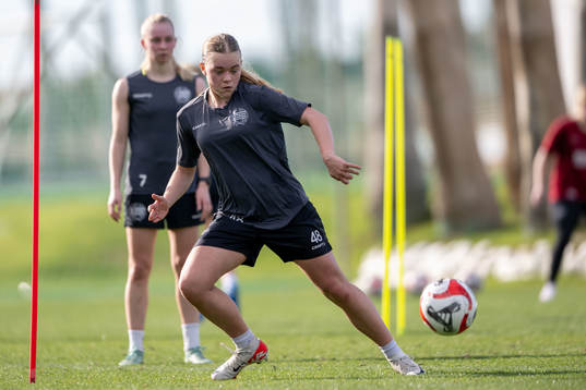 Hammarbys Ida Gagnfors