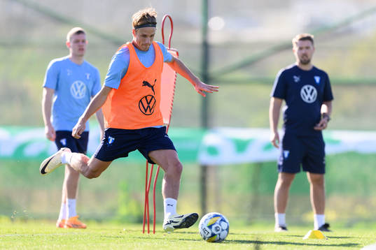 Malmö FFs Erik Botheim