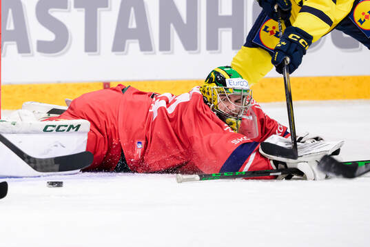 goalkeeper Jakub Malek of Czech Republic and Lucas Wallmark