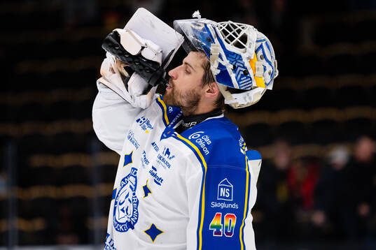 Leksands målvakt Mantas Armalis