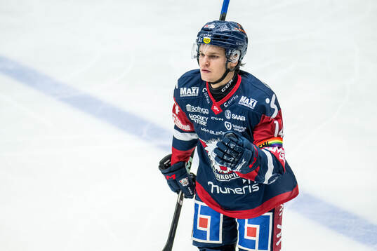 Linköpings Arvid Costmar jublar