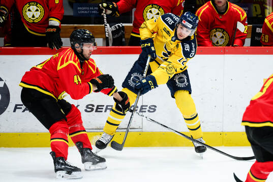 Brynäs Jacob Blomqvist och Södertäljes Viktor Liljegren