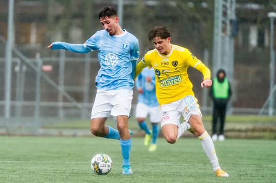 Malmö FFs Alexandru Ghita och Falkenbergs FFs Remo