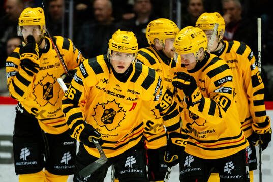 Skellefteås Rickard Hugg jublar