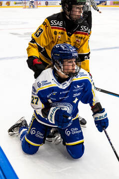 Leksands Shay Maloney