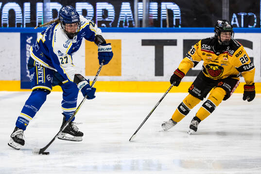 Leksands Shay Maloney