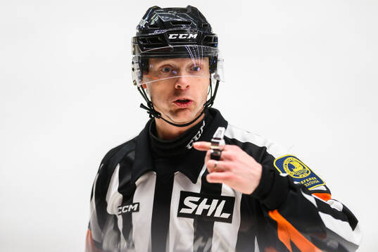 Domare Mikael Andersson