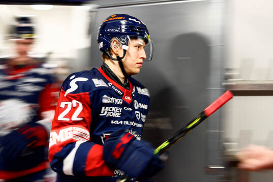 Linköpings Vilmos Gallo