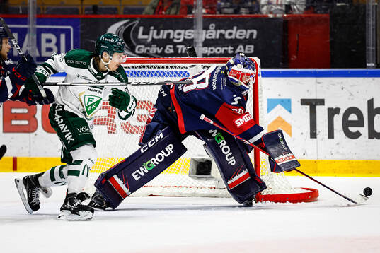 Linköpings målvakt Marcus Högberg