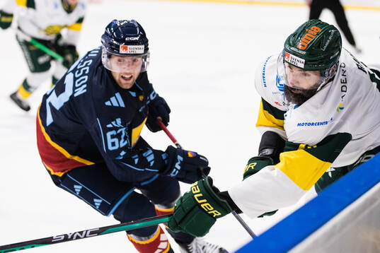 Djurgårdens Wiktor Nilsson och Björklövens Daniel Rahimi