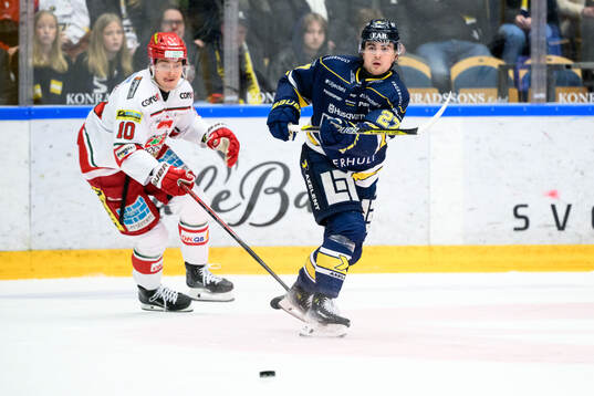 HV71s Herman Hansson