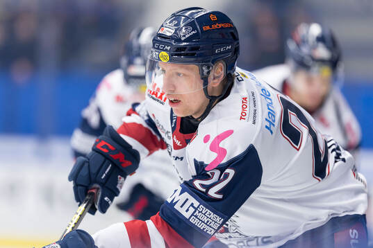 Linköpings Vilmos Gallo