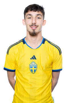 Alexandru Ghita poserar för ett porträtt
