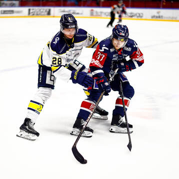HV71s Joonas Nättinen och Linköpings Jesper Pettersson