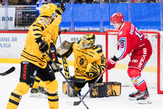 Skellefteås målvakt Gustaf Lindvall och Timrås Erik