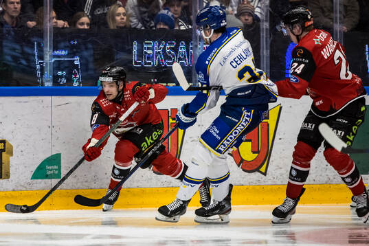 Malmö Redhawks Johan Olofsson