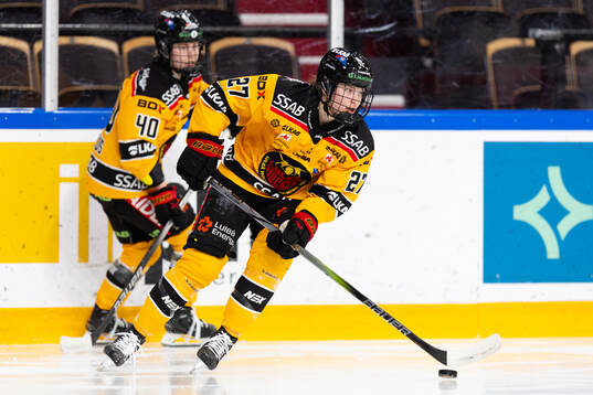 Luleås Jaycee Magwood