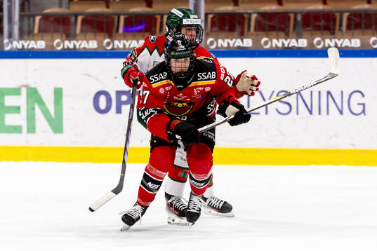 Luleå/MSSKs Jaycee Magwood