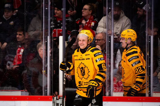 Skellefteås Måns Forsfjäll och Jonathan Johnson
