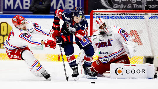 Timrås Emil Pettersson , Linköpings Broc Little och