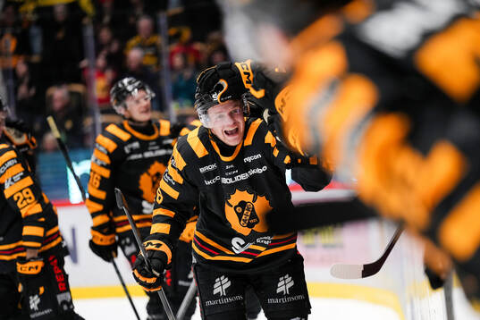 Skellefteås Måns Forsfjäll jublar