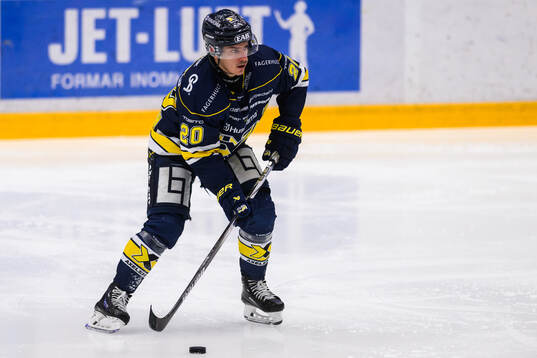 HV71s Andre Petersson