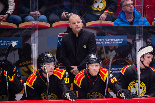 Brynäs tränare Niklas Gällstedt