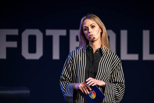 Karin Frick, Discovery