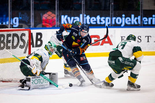 Djurgårdens David Blomgren och Björklövens målvakt