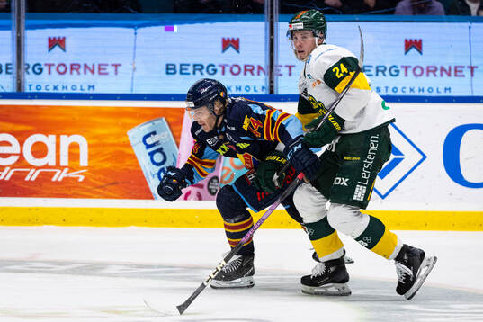 Djurgårdens Olle Liss och Björklövens Linus Cronholm