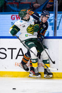 Djurgårdens David Blomgren och Björklövens Fredric Weigel