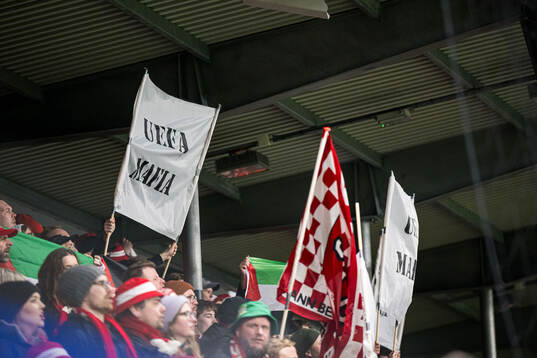 Spectators in the stands