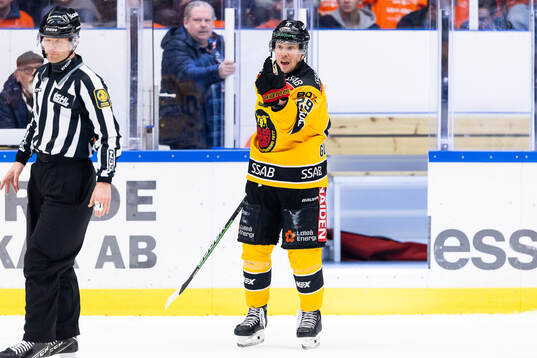 Luleås Erik Gustafsson är irriterad