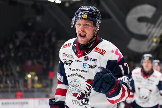 Linköpings Sebastian Strandberg jublar