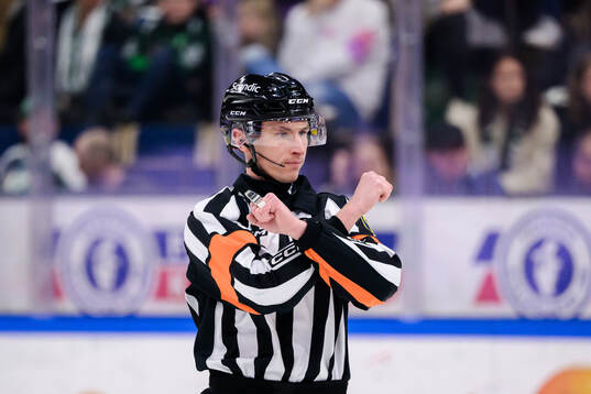 Domare Christoffer Holm